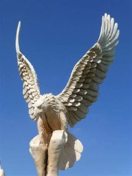 tj13-14 pferde titel oeschs 122